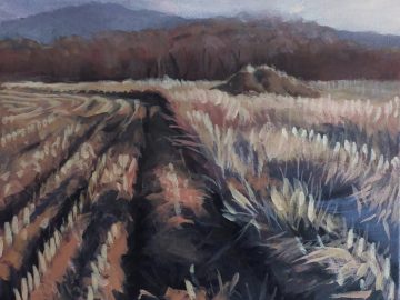 Brunswick Fields