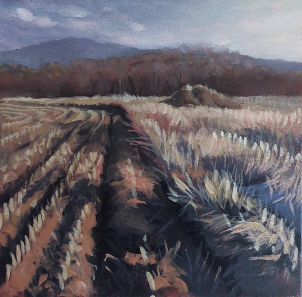 Brunswick Fields — Acrylic — the cornfield behind the baseball fields