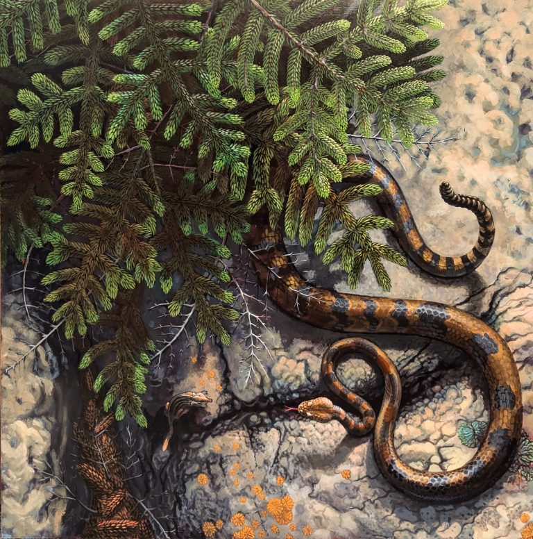 Snake, Spruce, Chipmunk — Acrylic