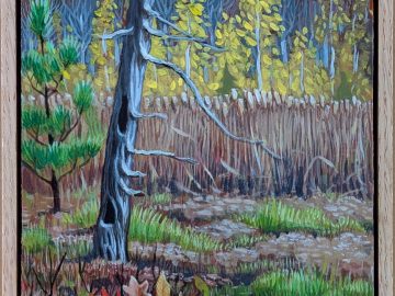 Poestenkill Community Forest