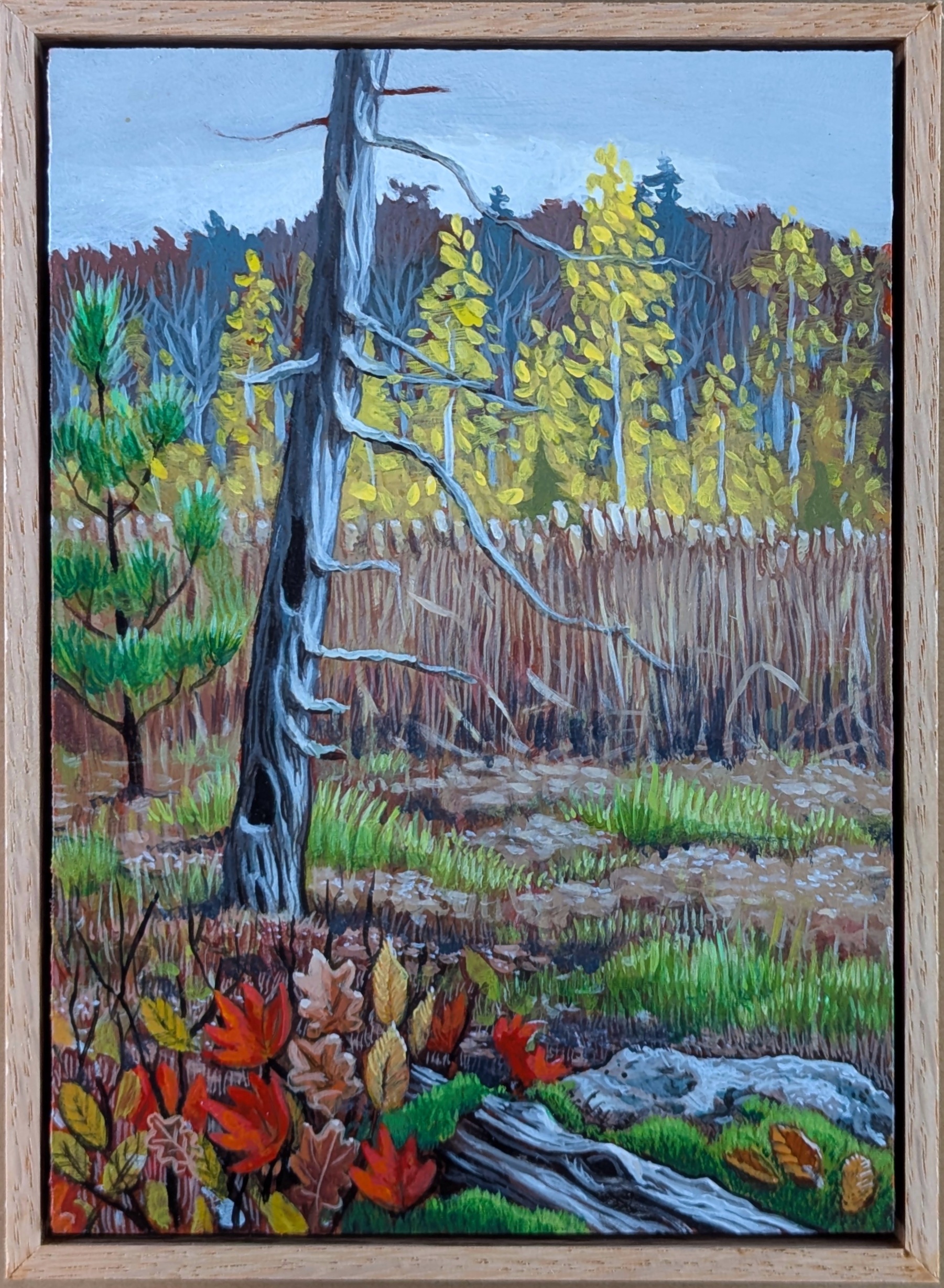 Poestenkill Community Forest Wetlands — Acrylic — Poestenkill Community Forest, overlooking the wetlands just off Dorothy's Trail