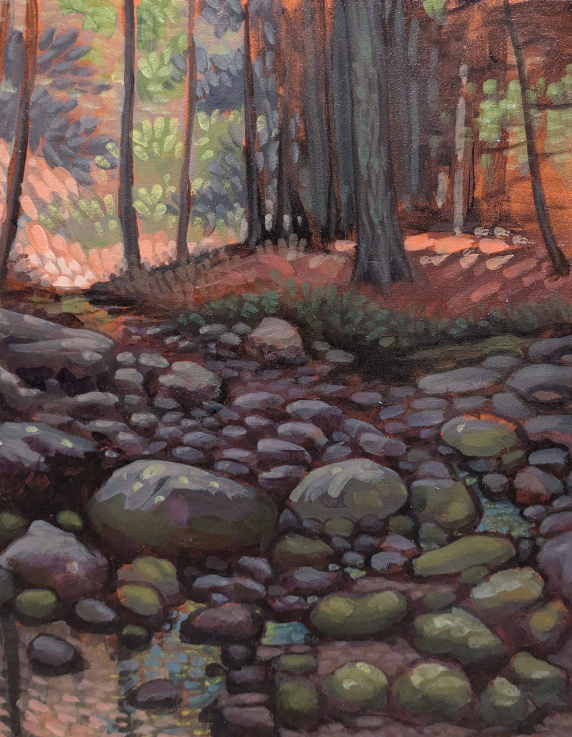 Campground — Acrylic — birthday camping trip