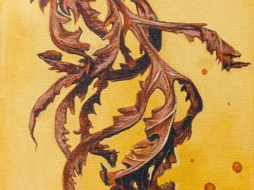 Dry Ferns