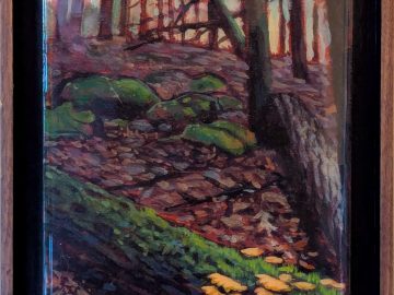 Creek Trail Log