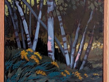 Driveway Birches