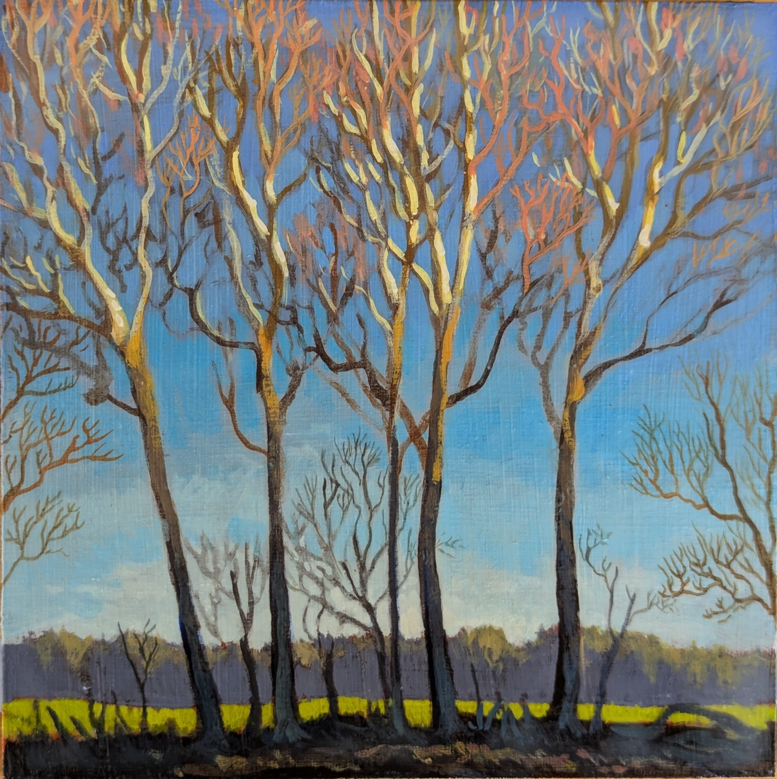 Sycamores — Acrylic — Garfield rd fishing access