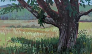 Grafton Tree