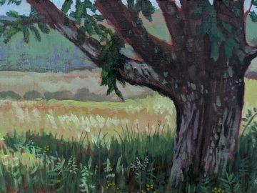 Grafton Tree — acrylic painting on wood panel, 10×6 inches, The pull off on the south side of the road right by the Grafton lake State Park entrance, Grafton, NY