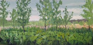 Wetlands