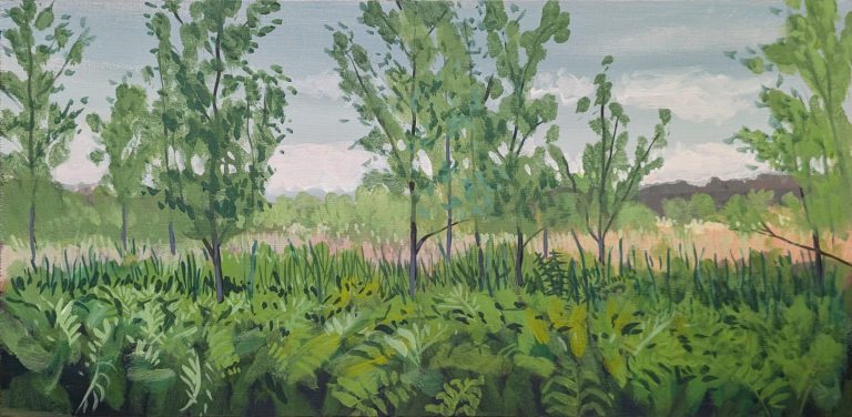 Wetlands — Acrylic, 16x8 inches