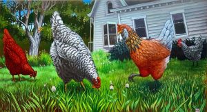 Backyard Chickens